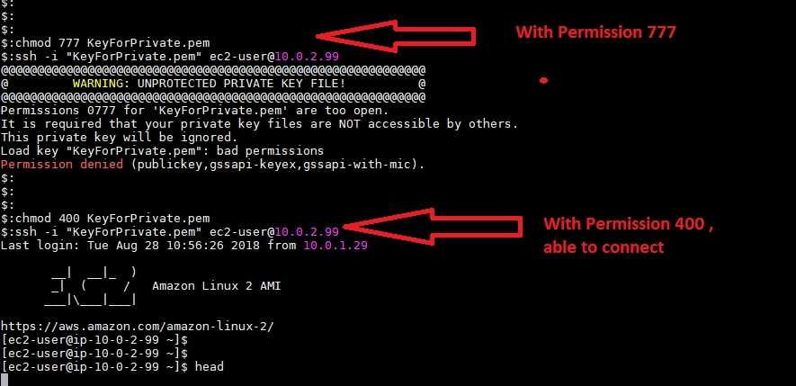 Permission denied password. Разрешение chmod. Permission denied publickey SSH. Permissions SSH Key Linux. Permission denied (publickey,password)..