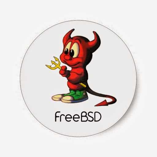Установка freebsd 13.0 со статическим сетевым ip-адресом