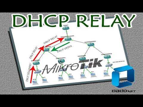 Mikrotik: настройка dhcp server. примеры dhcp + arp