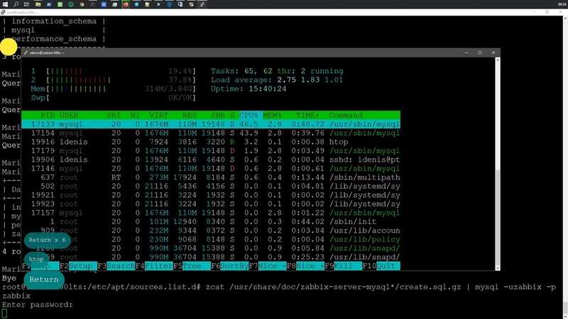 Как установить zabbix сервер на ubuntu 20.04