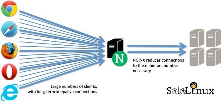 Nginx - установка и настройка сервера