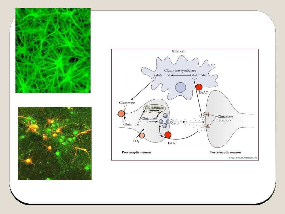 Synapse admin ui · issue #2032 · matrix-org/synapse · github
