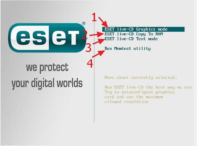 Загрузочная флешка eset live usb. обзор загрузочного диска livecd eset nod32. что такое загрузочный диск от eset