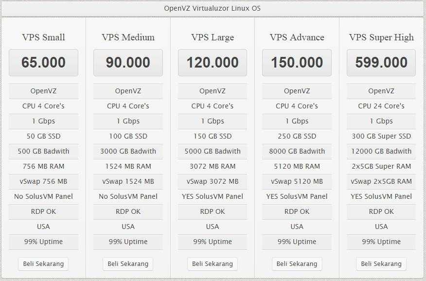 Обзор хостинга sprinthost