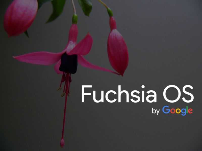 В google рассказали, зачем нужна fuchsia os и заменит ли она android - androidinsider.ru