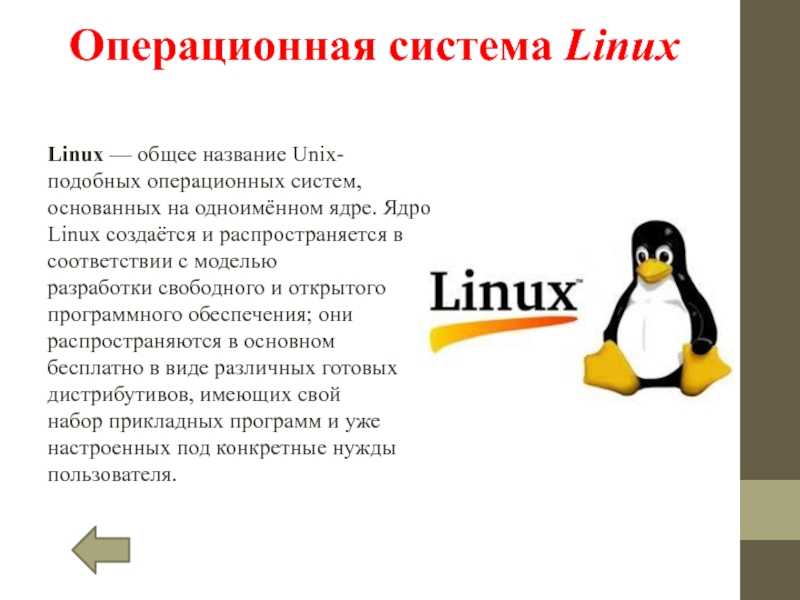 Лучшие дистрибутивы linux 2019
