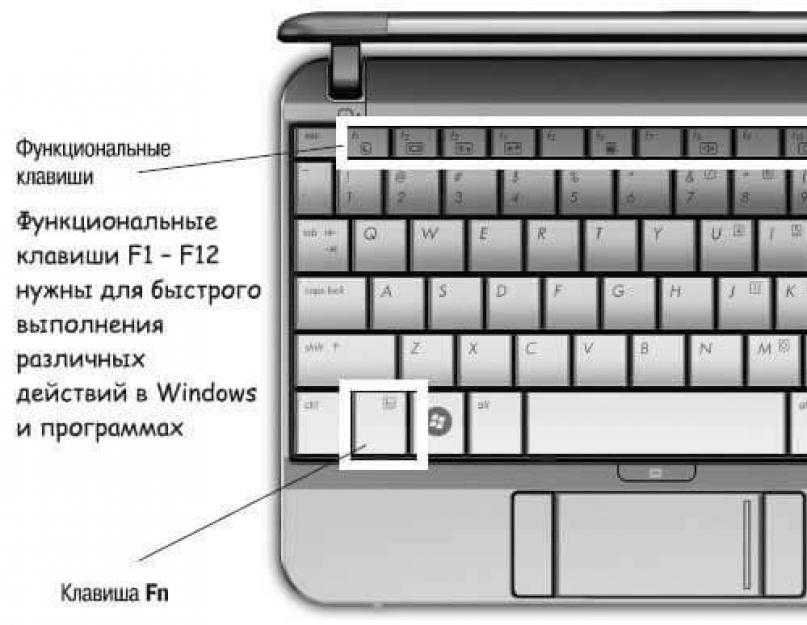 Не работает клавиша fn на ноутбуке — что делать