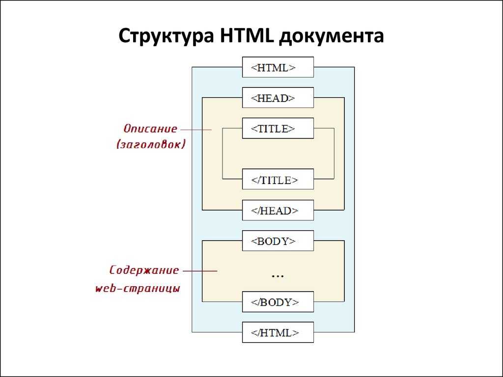 Схема страницы на которой представлены основные элементы имеющиеся на страницах