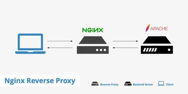 Nginx reverse proxy | nginx plus