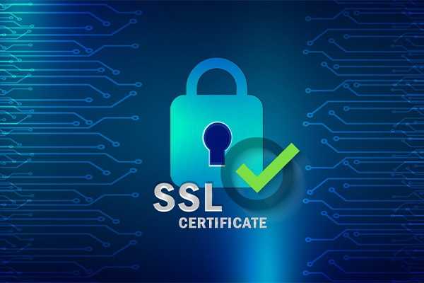 Главные минусы самоподписанных ssl-сертификатов | блог serverspace