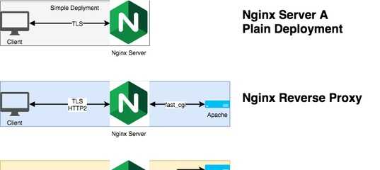 Nginx reverse proxy