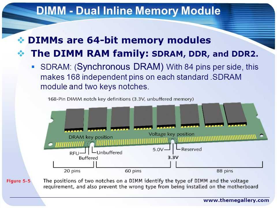Оперативная память ddr5 – когда выйдет, цена, характеристики